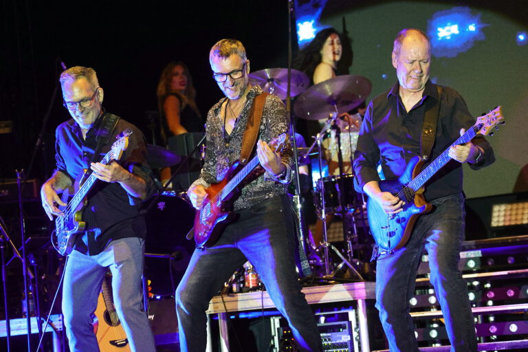 Die Gitarristen von Tina T. Tribute to Tina Turner